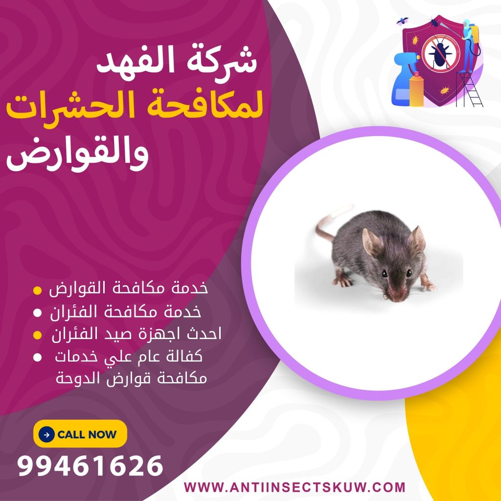 شركة مكافحة قوارض الدوحة
