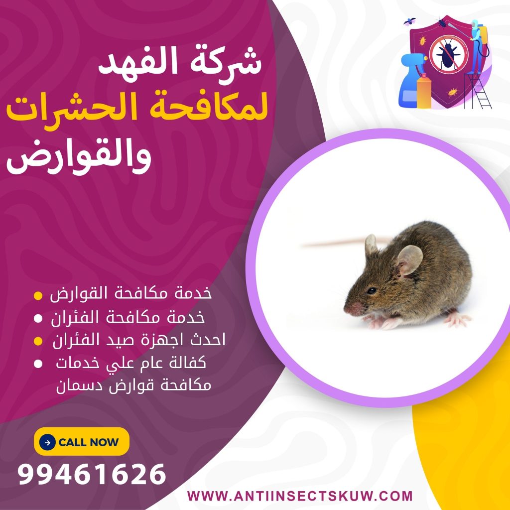 شركة مكافحة قوارض دسمان
