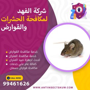 شركة مكافحة قوارض دسمان