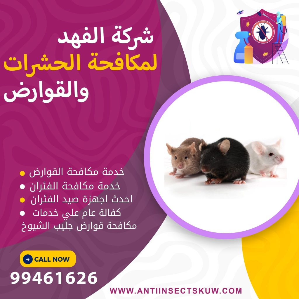 شركة مكافحة قوارض جليب الشيوخ