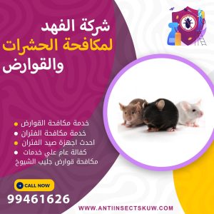 شركة مكافحة قوارض جليب الشيوخ