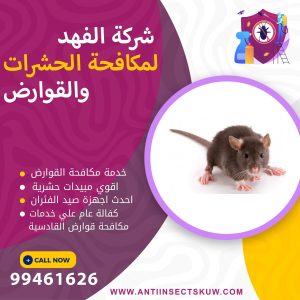 شركة مكافحة قوارض القادسية
