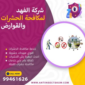 شركة مكافحة حشرات القبلة