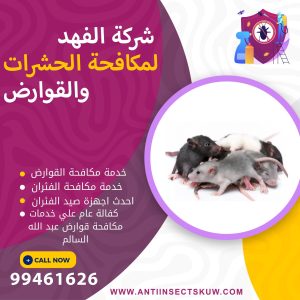 شركة مكافحة قوارض عبد الله السالم