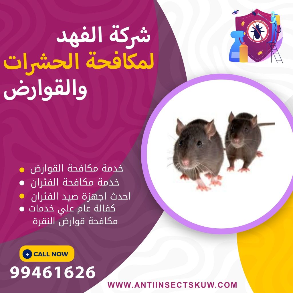 شركة مكافحة قوارض النقرة