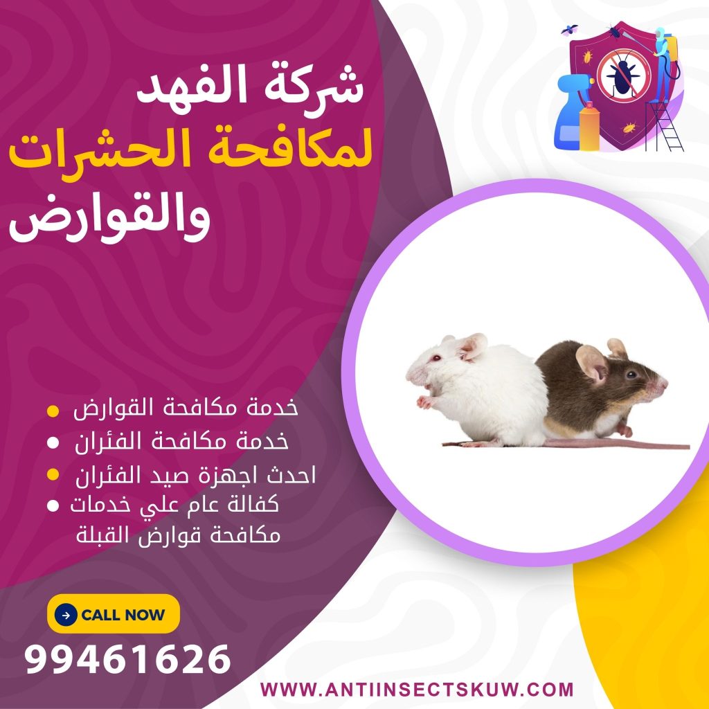 شركة مكافحة قوارض القبلة