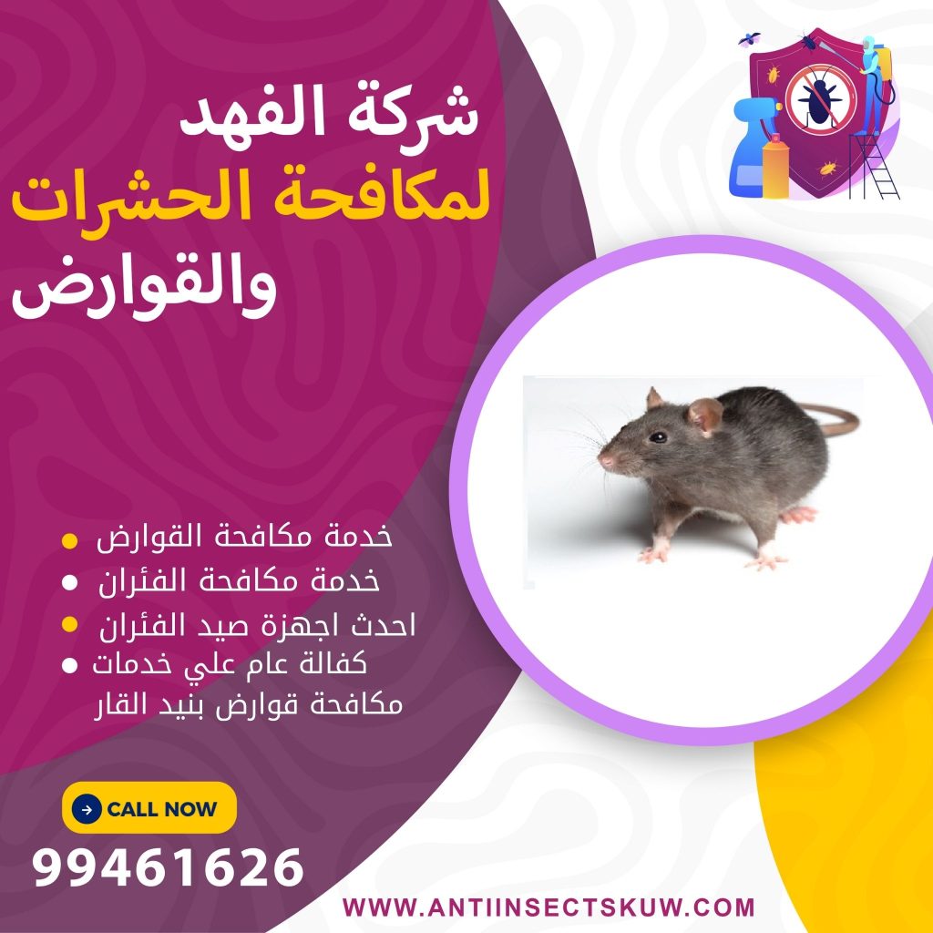 شركة مكافحة قوارض بنيد القار
