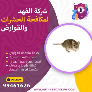 شركة مكافحة قوارض الصديق