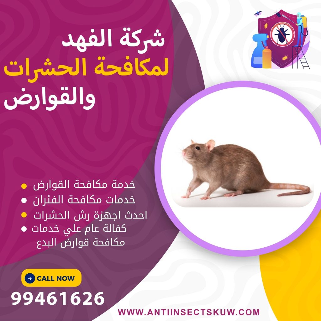 شركة مكافحة قوارض البدع