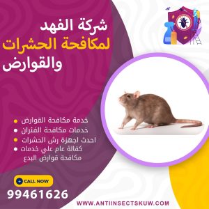 شركة مكافحة قوارض البدع