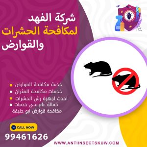 شركة مكافحة قوارض ابو حليفة
