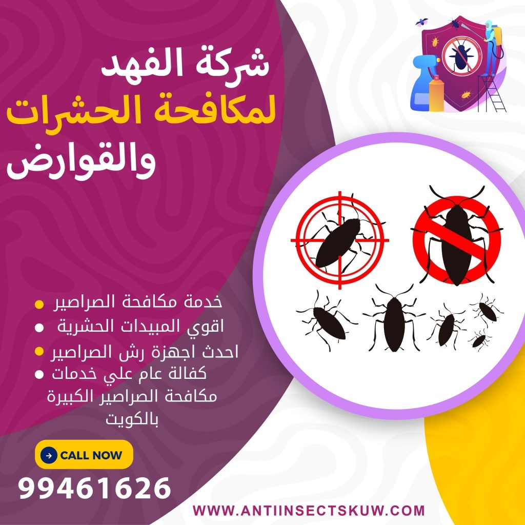 شركة مكافحة الصراصير الكبيرة بالكويت