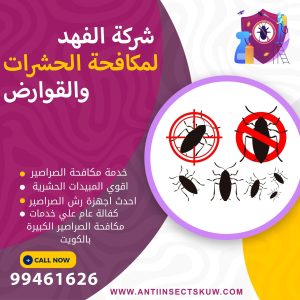 شركة مكافحة الصراصير الكبيرة بالكويت