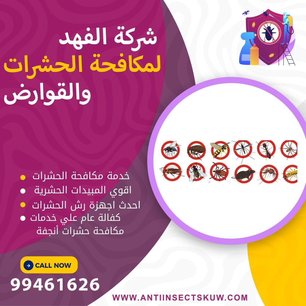 شركة مكافحة حشرات أنجفة
