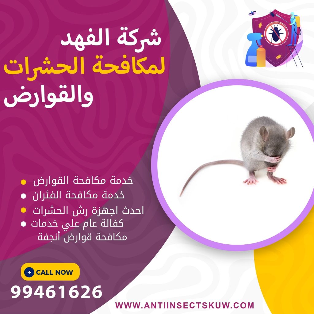 شركة مكافحة قوارض أنجفة