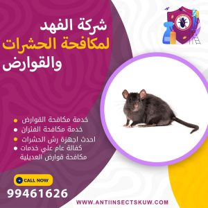 شركة مكافحة قوارض العديلية