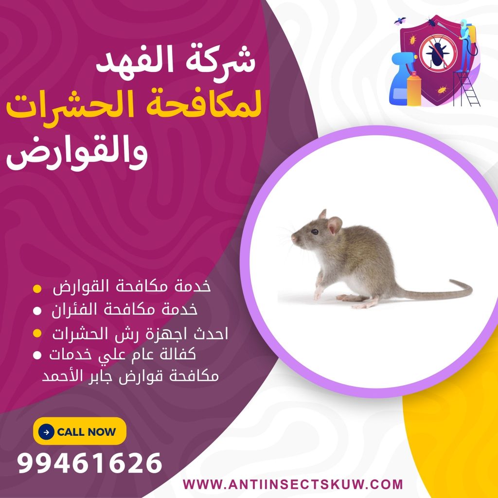 شركة مكافحة قوارض جابر الأحمد