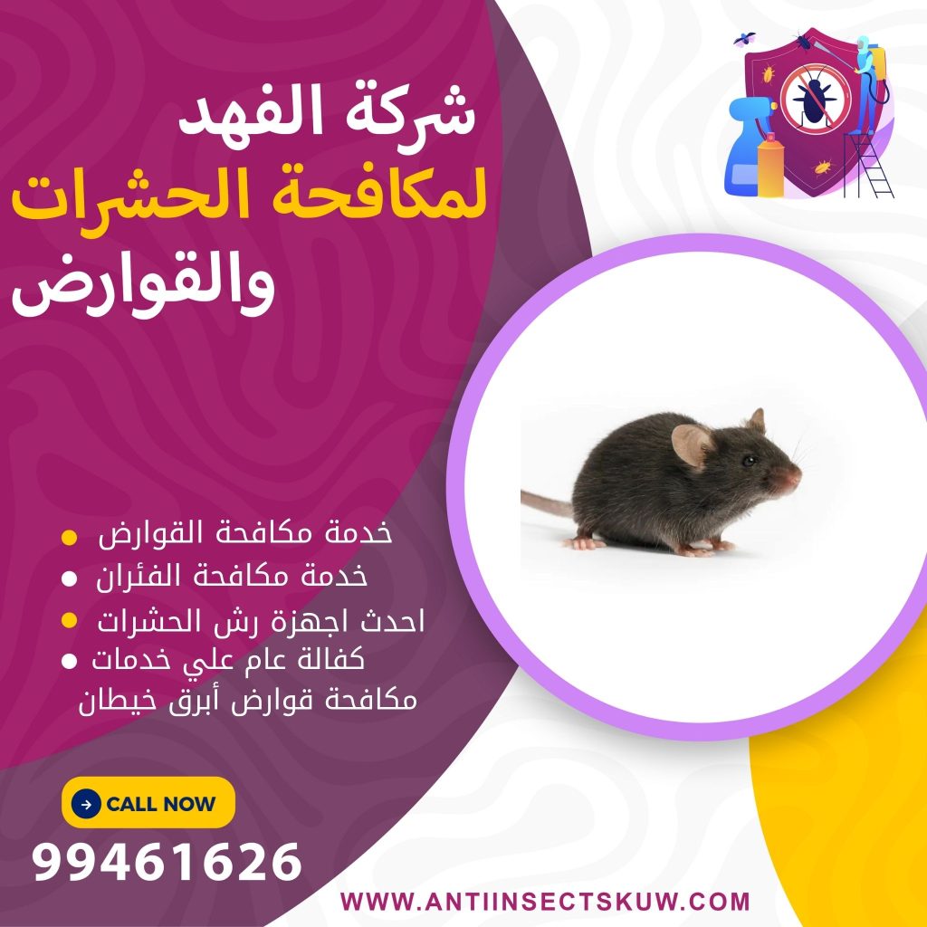 شركة مكافحة قوارض أبرق خيطان