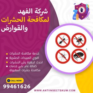 شركة مكافحة حشرات المهبولة