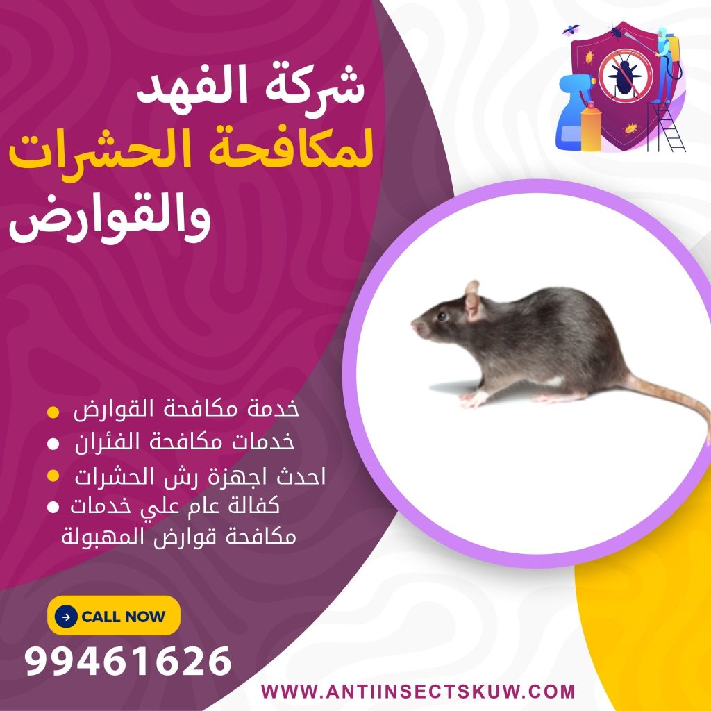 شركة مكافحة قوارض المهبولة
