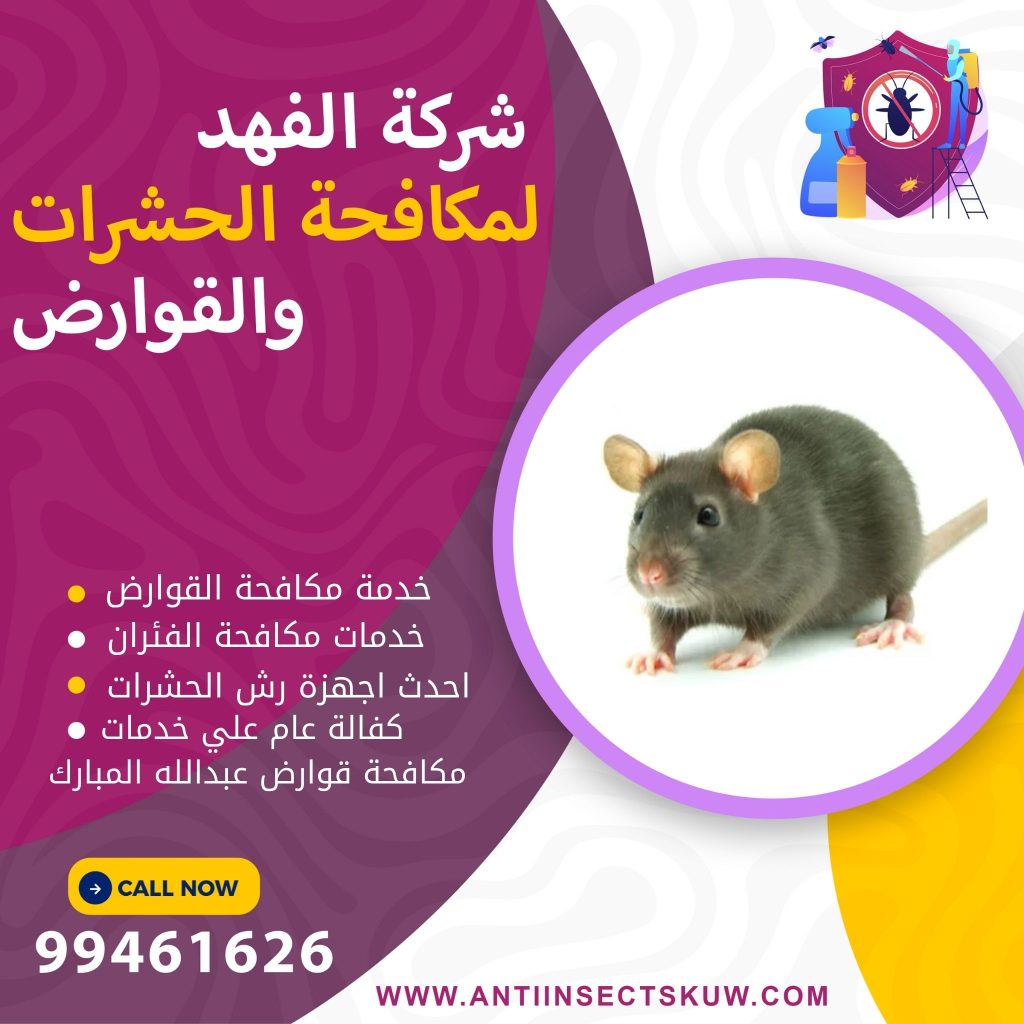 شركة مكافحة قوارض عبدالله المبارك