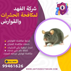 شركة مكافحة قوارض عبدالله المبارك