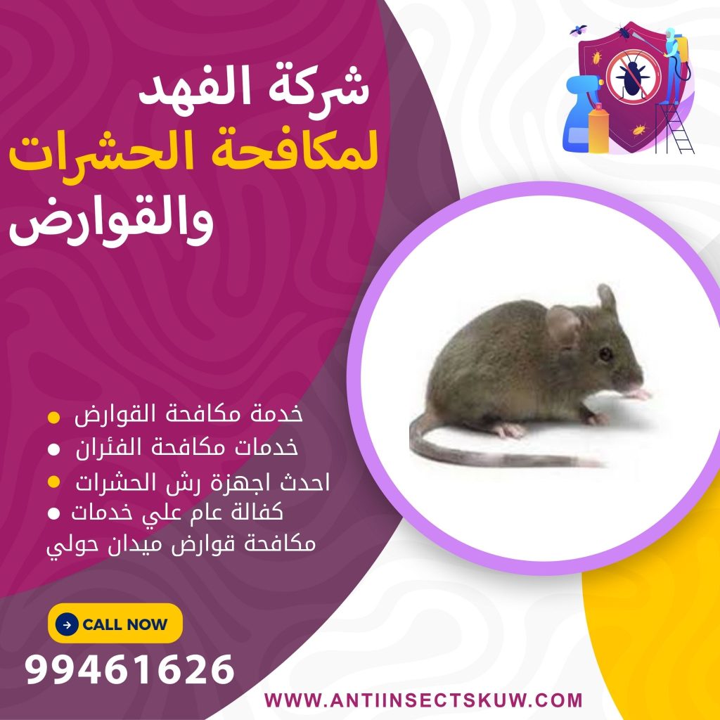 شركة مكافحة قوارض ميدان حولي