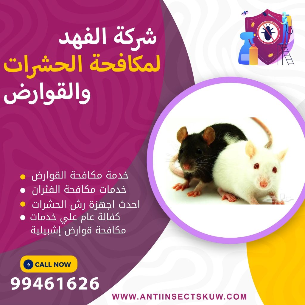 شركة مكافحة قوارض إشبيلية