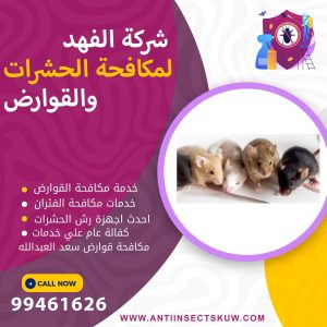 شركة مكافحة قوارض سعد العبدالله