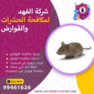 شركة مكافحة قوارض غرب الصليبخات