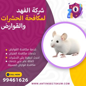 شركة مكافحة قوارض المسيلة