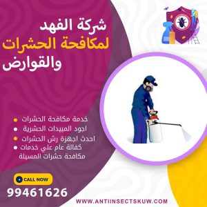 شركة مكافحة حشرات المسيلة