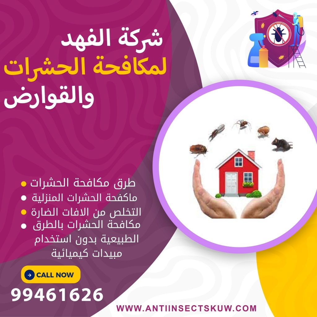 مكافحة الحشرات المنزلية بدون استخدام مبيدات