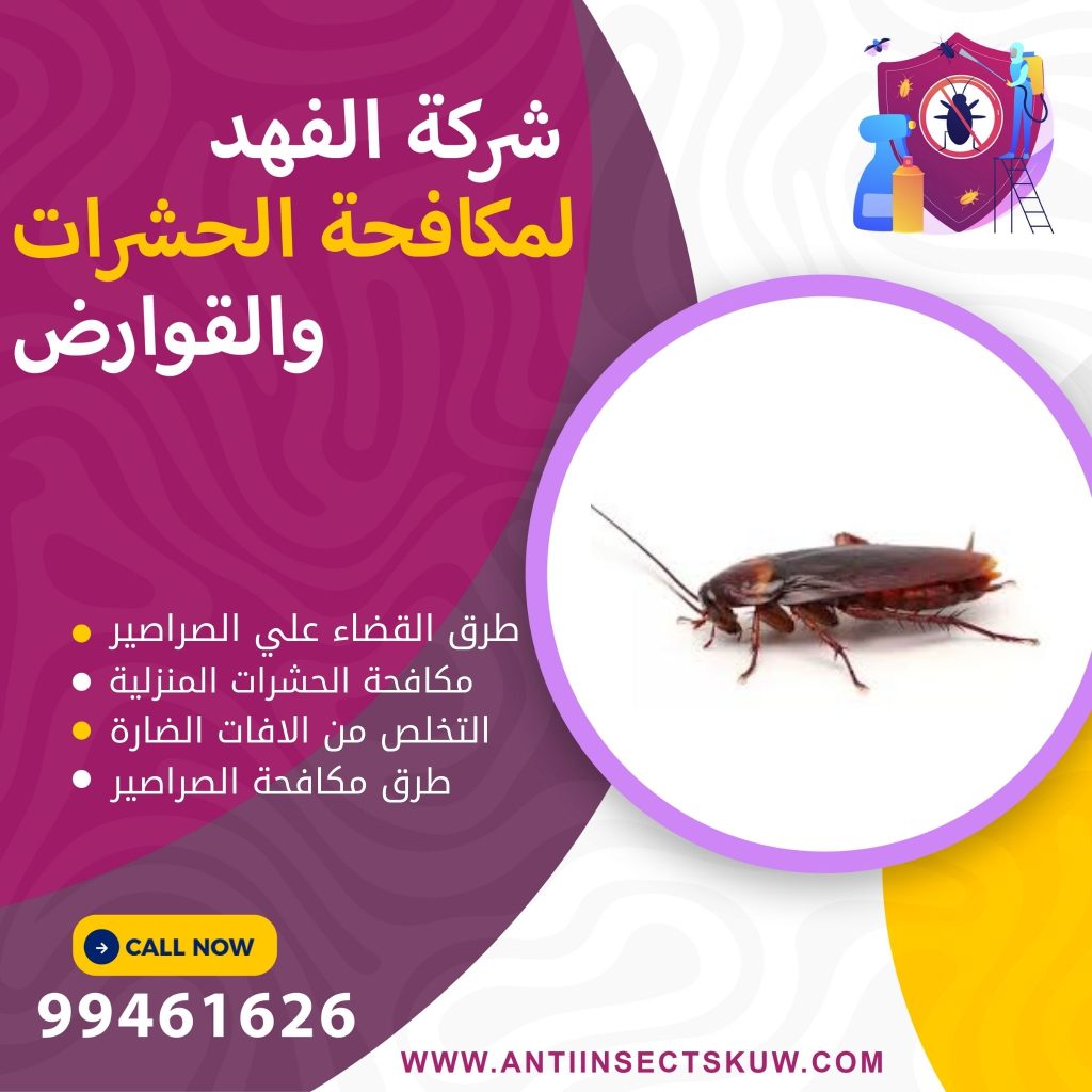 القضاء علي الصراصير الصغيرة