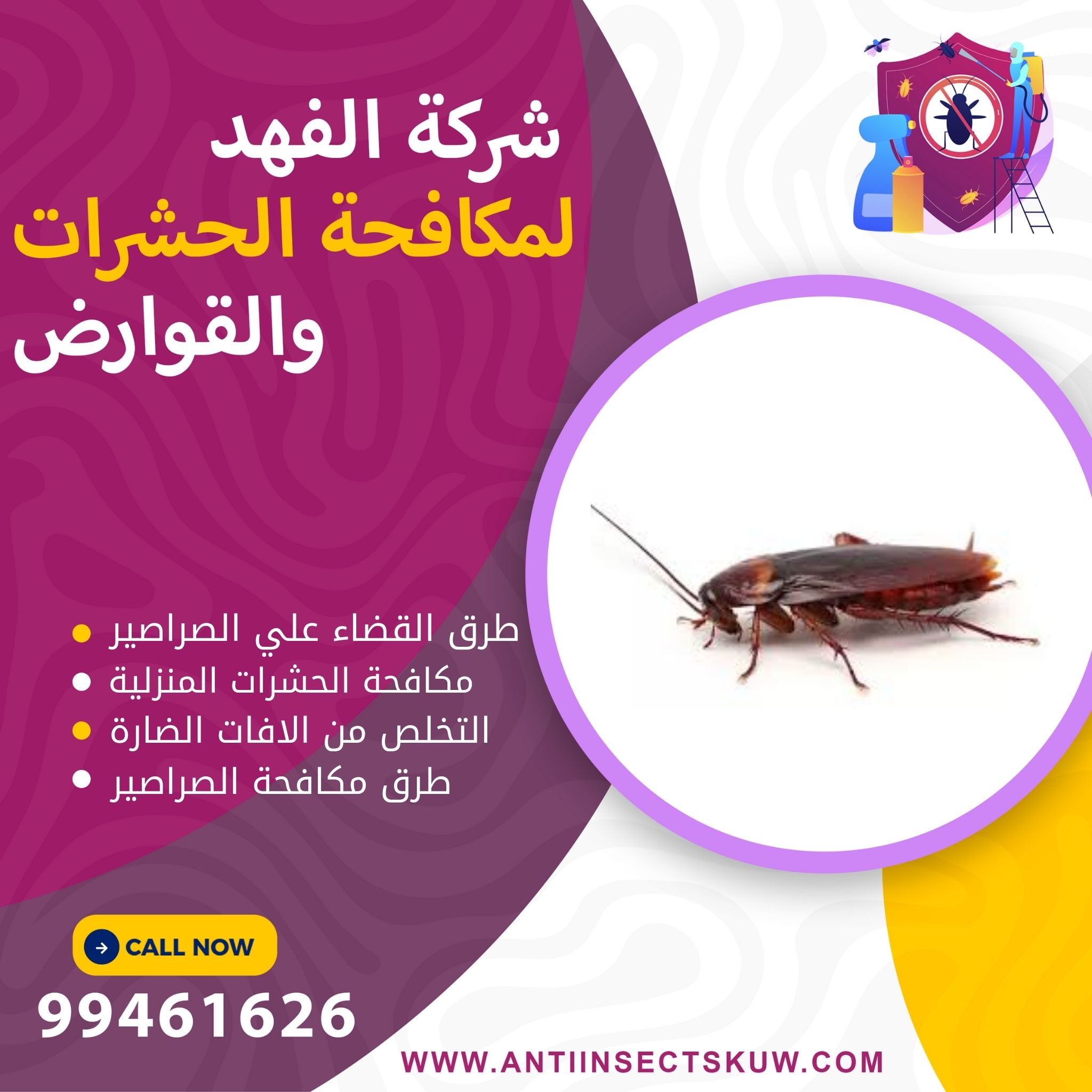 القضاء علي الصراصير الصغيرة