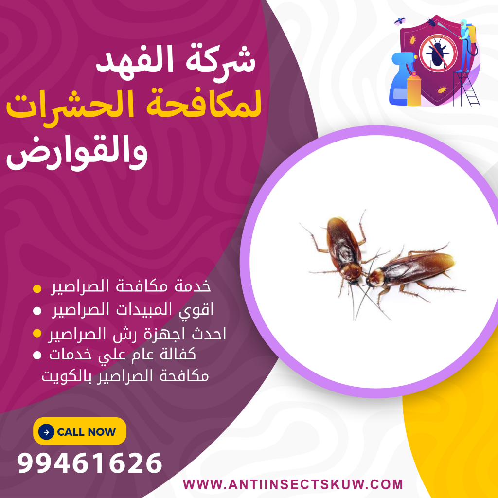 شركة مبيدات الصراصير بالكويت