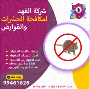 شركة مكافحة قوارض النويصيب