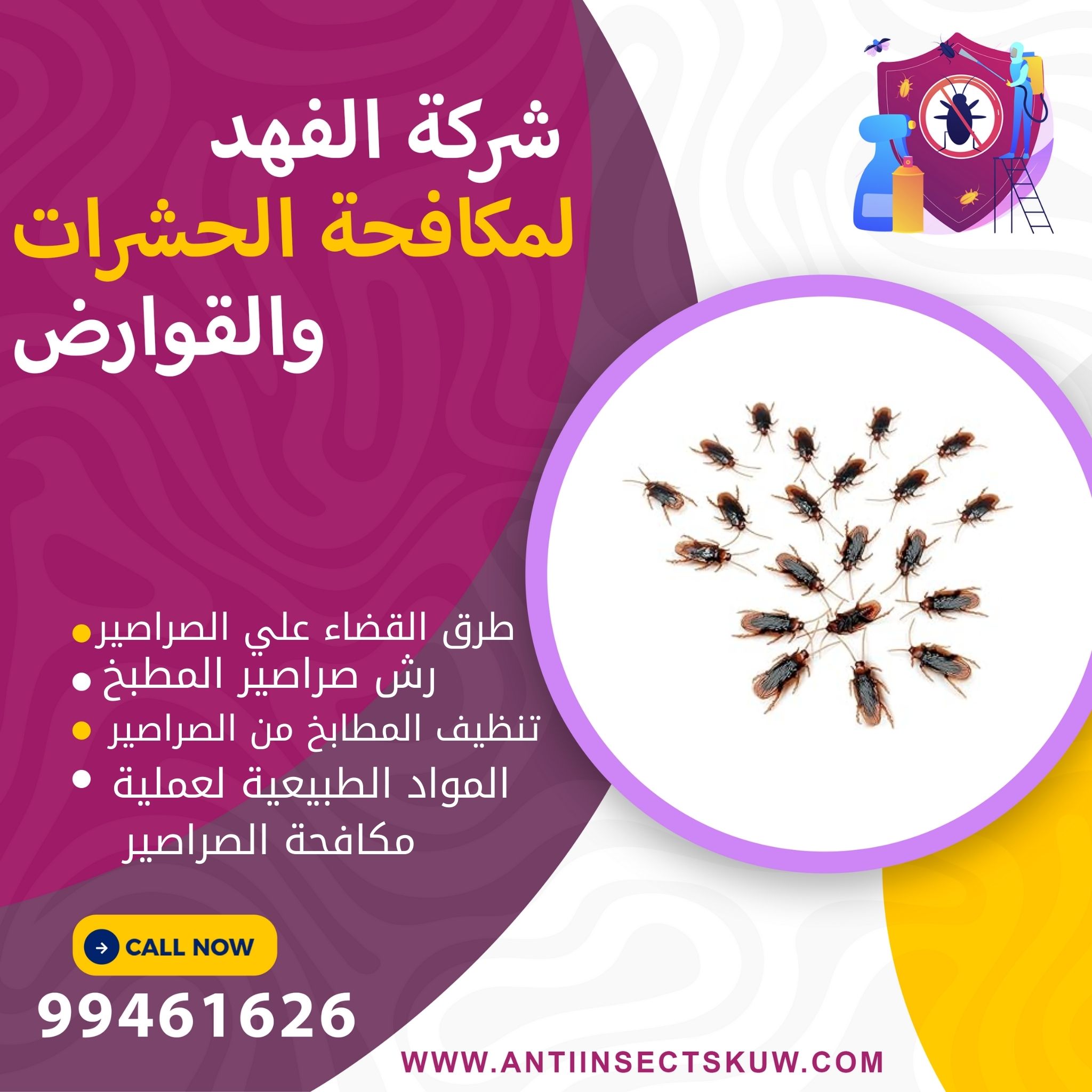طرق القضاء علي صراصير المطبخ