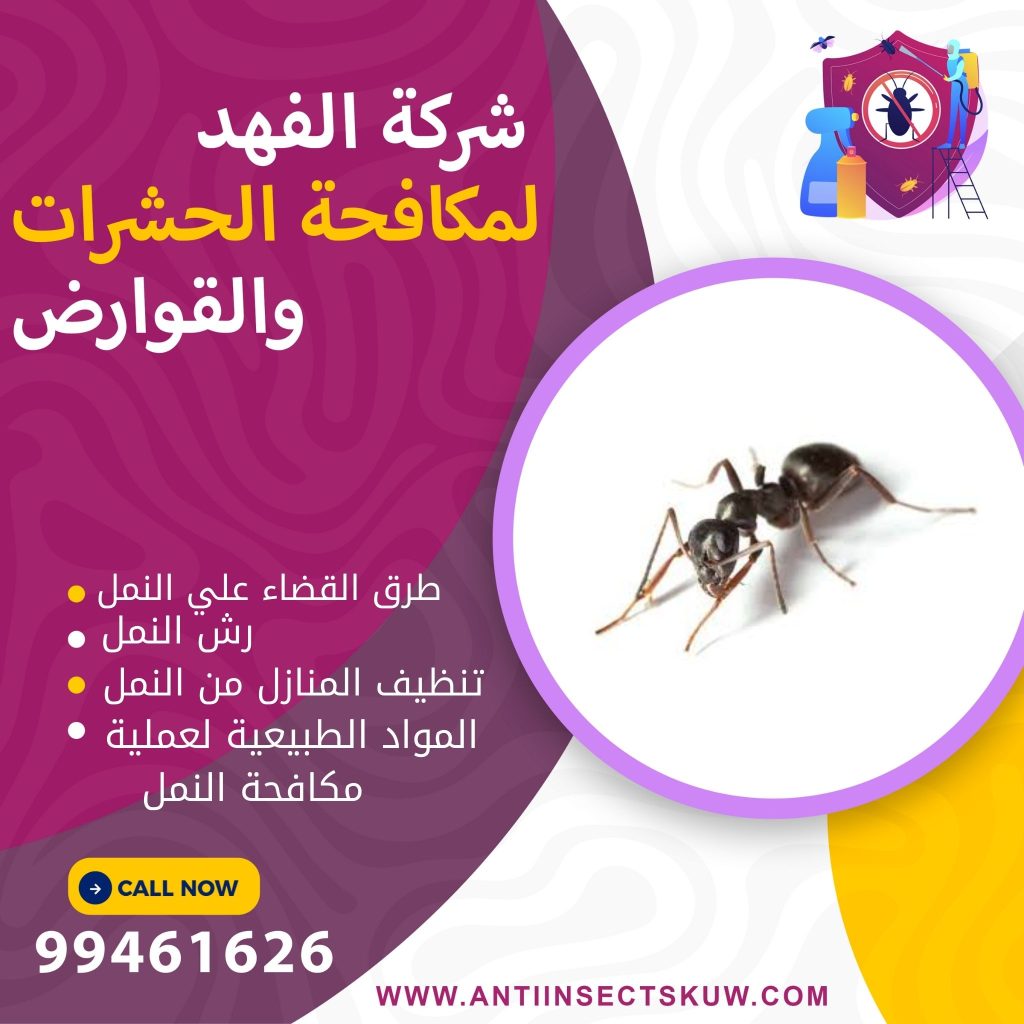 طرق التخلص من النمل في المنزل