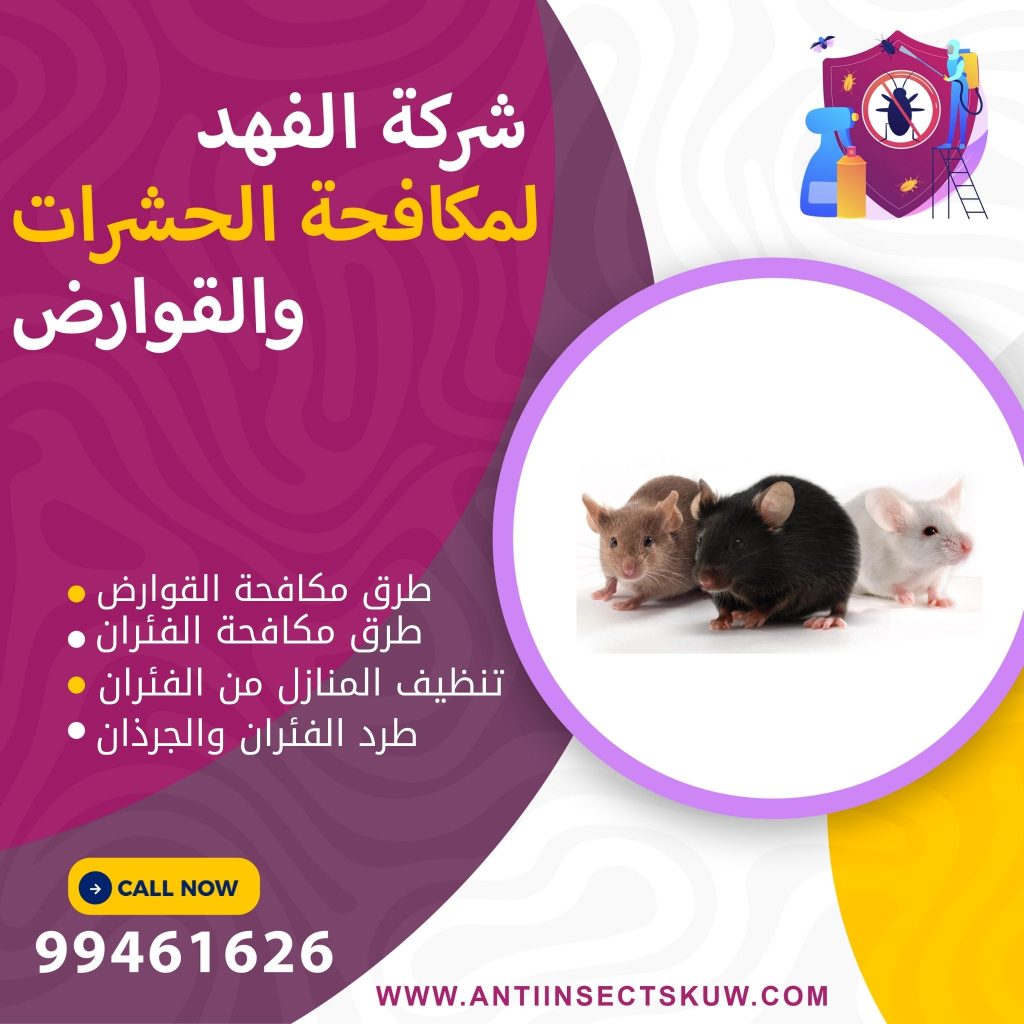 طرق مكافحة الفئران