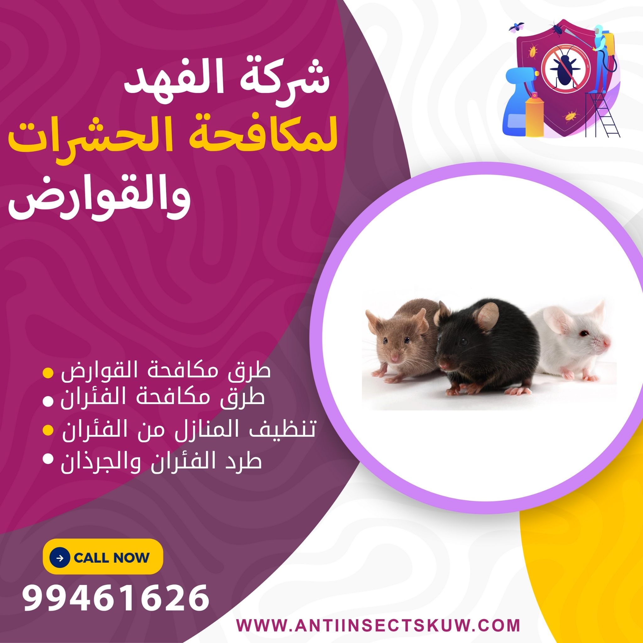 طرق مكافحة الفئران