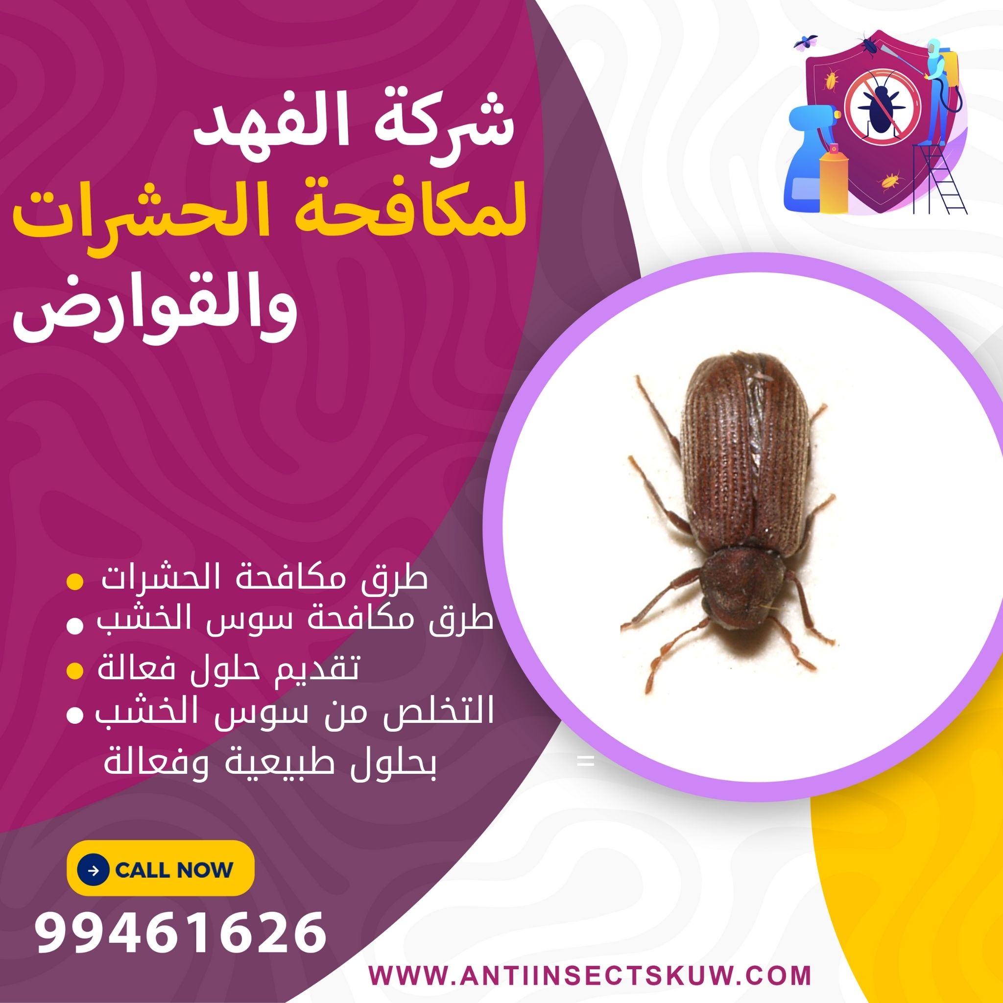 كيفية علاج سوس الخشب