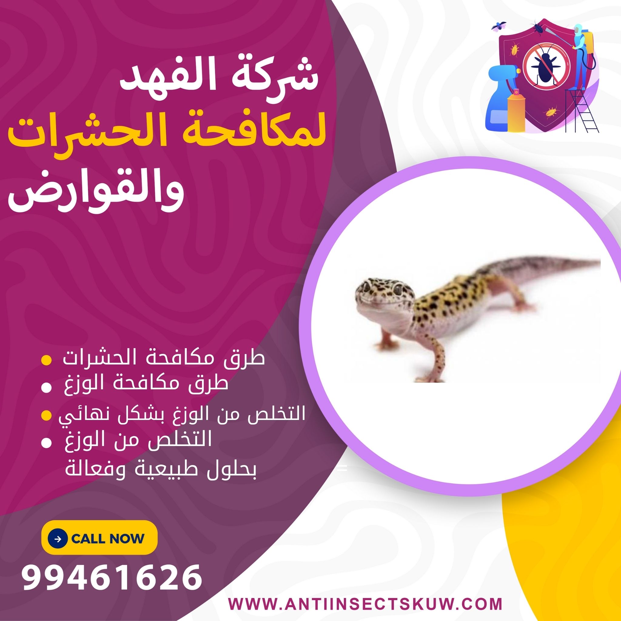 طرق مكافحة الوزغ