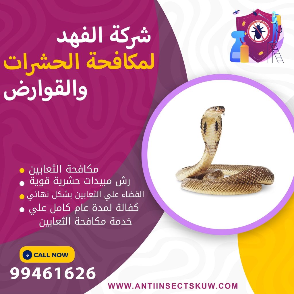 شركة مكافحة الثعابين بالكويت