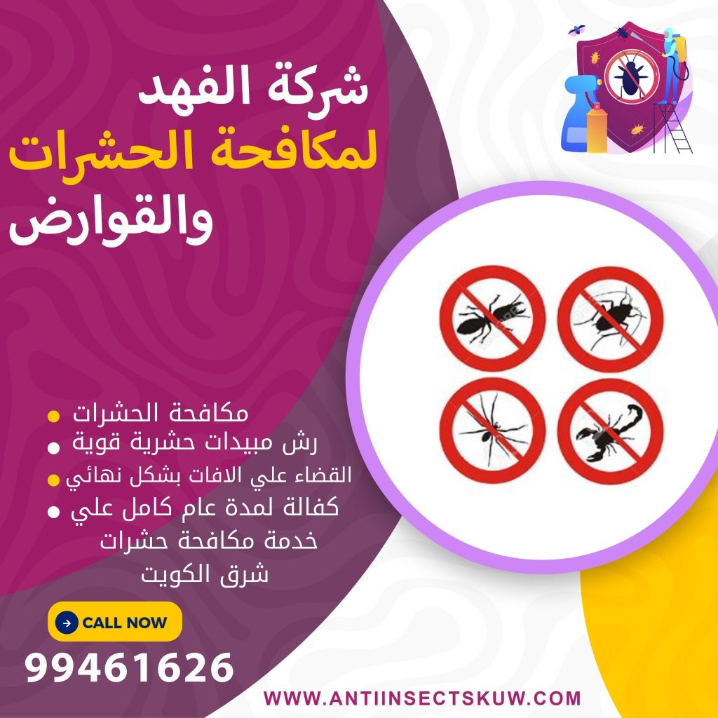 شركة مكافحة حشرات شرق الكويت
