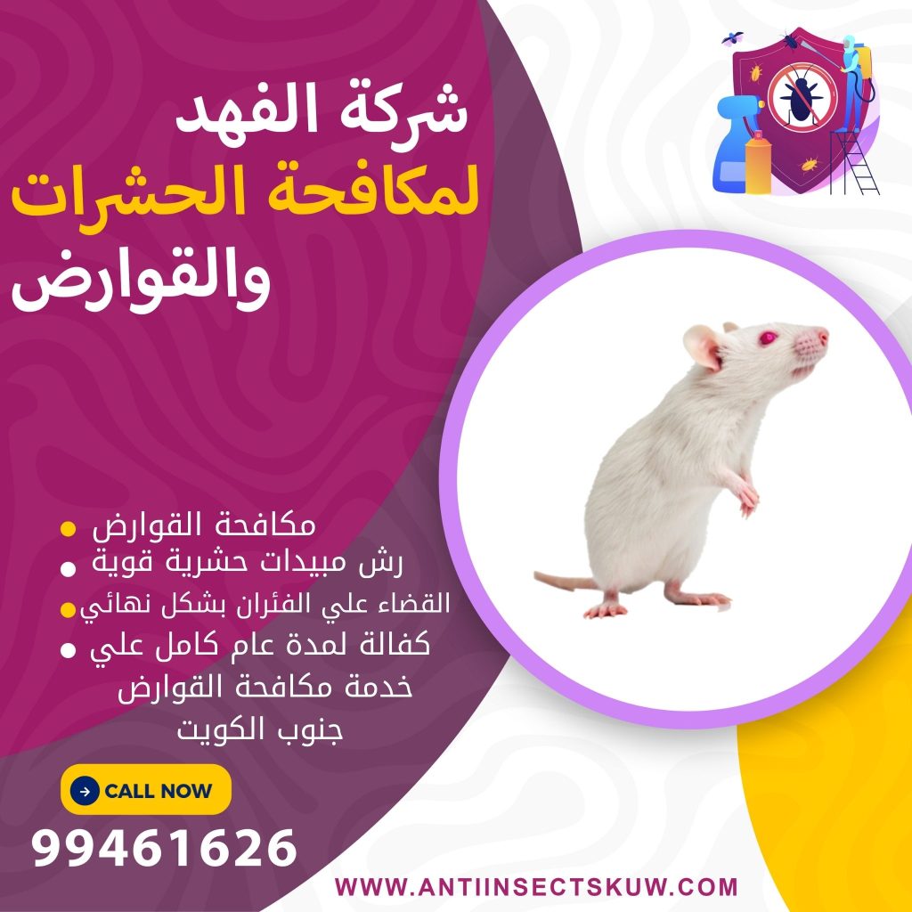 شركة مكافحة قوارض جنوب الكويت