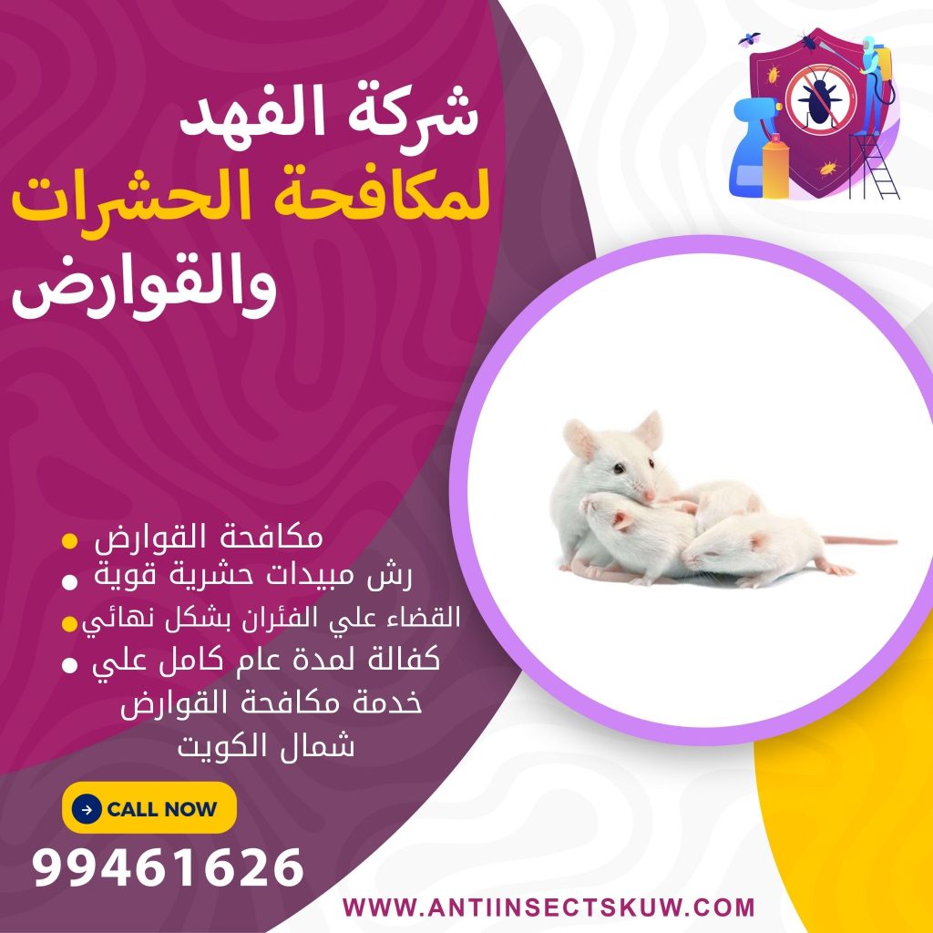 شركة مكافحة قوارض شمال الكويت