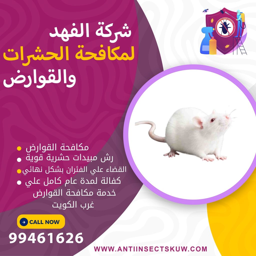 شركة مكافحة قوارض غرب الكويت