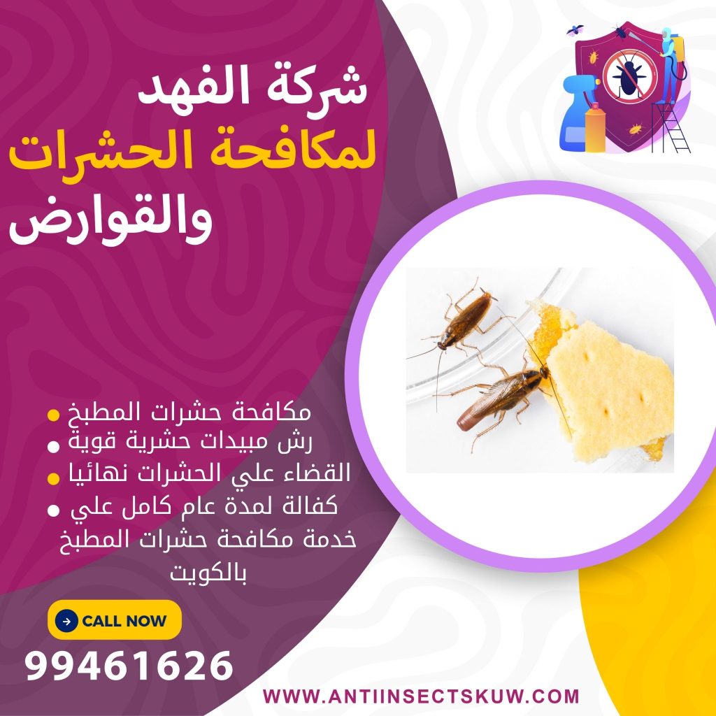 شركة مكافحة حشرات المطبخ بالكويت