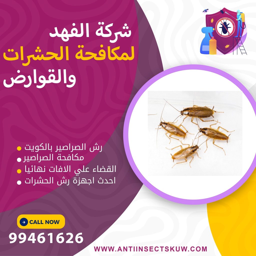مكافحة الصراصير الصغيرة في المطبخ